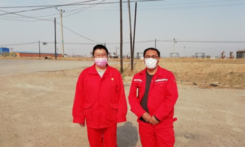 康王鸟主治网康王鸟药膏的说明书知识网站,分享康王鸟主治什么大全